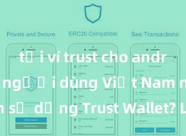 tải ví trust cho android Tại sao người dùng Việt Nam nên sử dụng Trust Wallet? Lợi ích và rủi ro